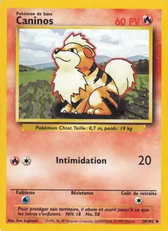 Carte Pokémon Caninos 28