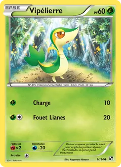 Carte Pokémon Vipélierre 1