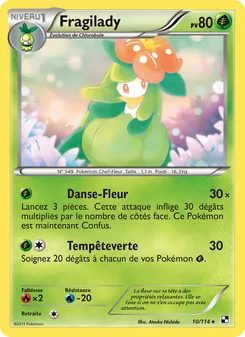 Carte Pokémon Fragilady 10