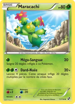 Carte Pokémon Maracachi 11