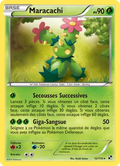 Carte Pokémon Maracachi 12