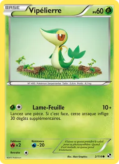 Carte Pokémon Vipélierre 2
