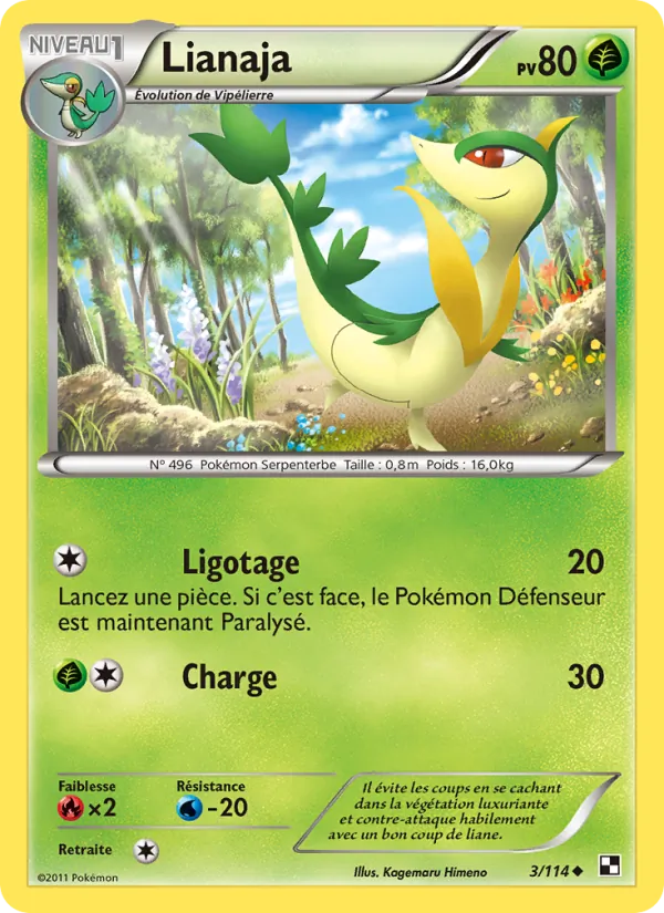 Carte Pokémon Lianaja 3/114 de l'extension Noir & Blanc