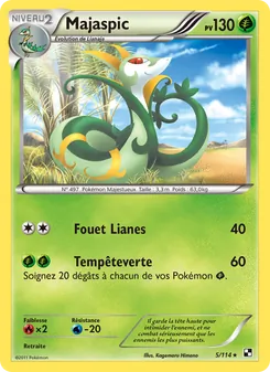 Carte Pokémon Majaspic 5