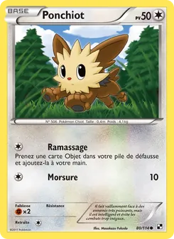 Carte Pokémon Ponchiot 80
