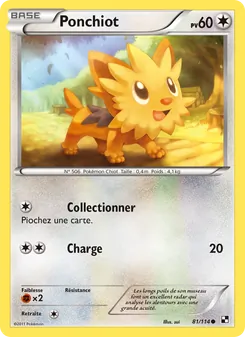 Carte Pokémon Ponchiot 81