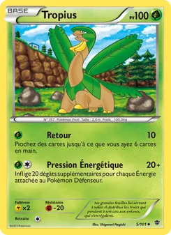 Carte Pokémon Tropius 5 — Explosion Plasma