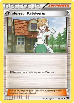Carte Pokémon Professeur Keteleeria 84