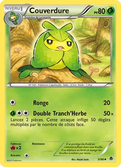 Carte Pokémon Couverdure 5 — Pouvoirs Émergents