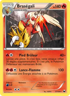 Carte Pokémon Braségali 17