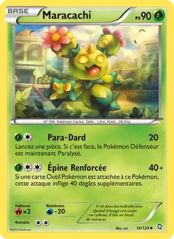 Carte Pokémon Maracachi 16