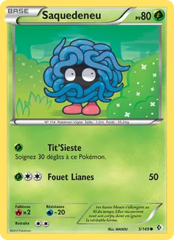 Carte Pokémon Saquedeneu 5 — Frontières Franchies