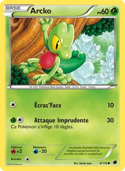 Carte Pokémon Arcko 6 — Glaciation Plasma