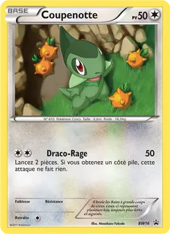 Carte Pokémon Coupenotte BW16 — Promo BW
