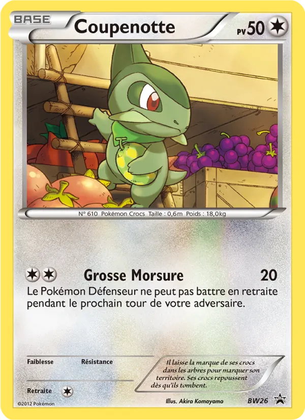 Carte Pokémon Coupenotte BW26/101 de l'extension Promo BW