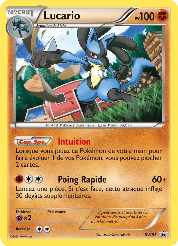 Carte Pokémon Lucario BW85/101 de l'extension Promo BW