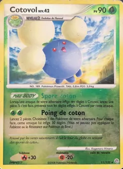 Carte Pokémon Cotovol 11 — Merveilles Secrètes