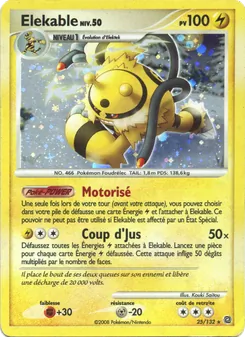 Carte Pokémon Élekable 25 — Merveilles Secrètes