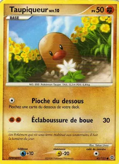 Carte Pokémon Taupiqueur 85 — Merveilles Secrètes