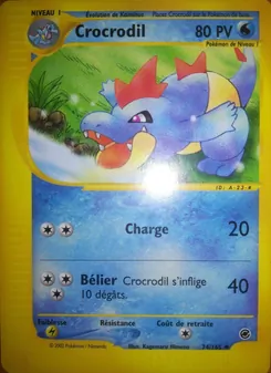 Carte Pokémon Crocrodil 74