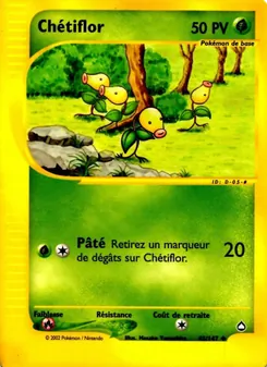 Carte Pokémon Chétiflor 45 — Aquapolis