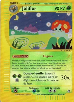 Carte Pokémon Joliflor 5 — Aquapolis