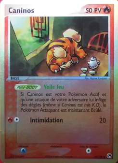 Carte Pokémon Caninos 65 — EX Tempête de sable