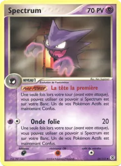 Carte Pokémon Spectrum 34 — EX Rouge Feu & Vert Feuille