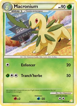 Carte Pokémon Macronium 35