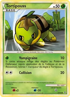 Carte Pokémon Tortipouss 67 — Déchaînement