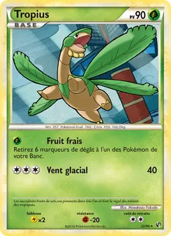 Carte Pokémon Tropius 22