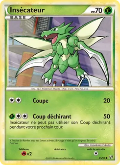 Carte Pokémon Insecateur 65