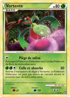 Carte Pokémon Vortente 16