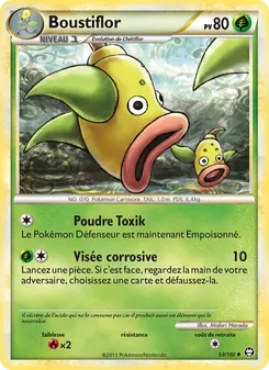 Carte Pokémon Boustiflor 53
