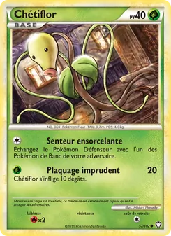Carte Pokémon Chétiflor 57