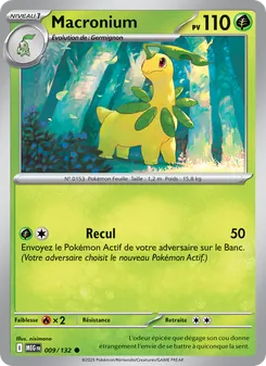 Carte Pokémon Macronium 009