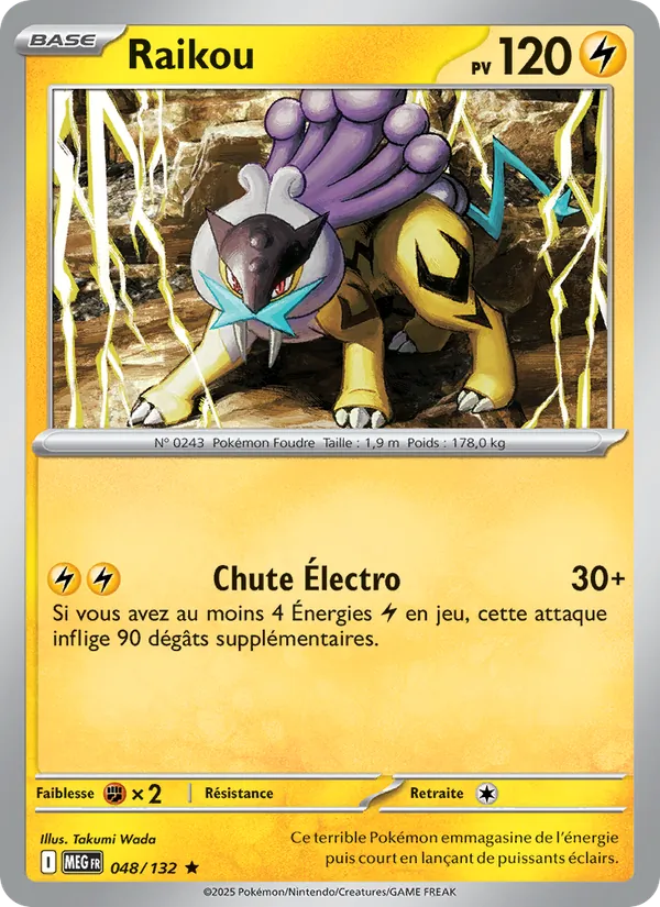 Carte Pokémon Raikou 048/132 de l'extension Méga-Évolution