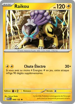 Carte Pokémon Raikou 048