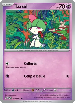 Carte Pokémon Tarsal 058