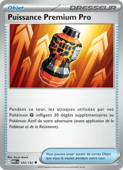 Carte Pokémon Puissance Premium Pro 124