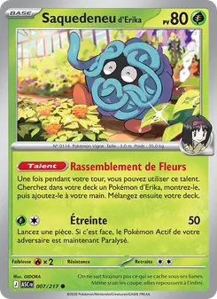 Carte Pokémon Saquedeneu d'Erika 007 — Héros Transcendants
