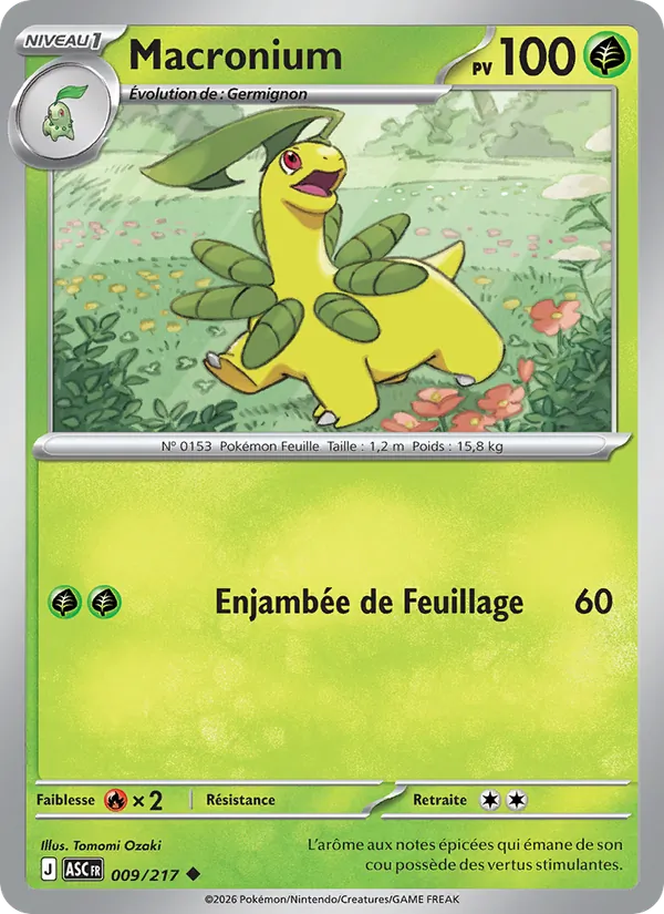 Carte Pokémon Macronium 009/217 de l'extension Héros Transcendants