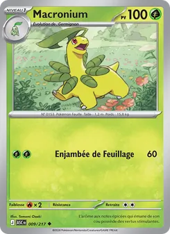 Carte Pokémon Macronium 009 — Héros Transcendants