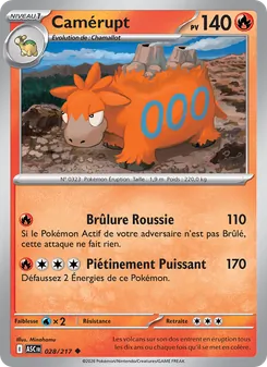 Carte Pokémon Camérupt 028