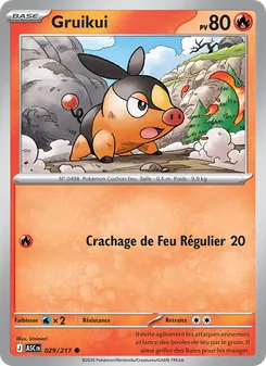 Carte Pokémon Gruikui 029 — Héros Transcendants