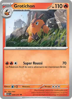 Carte Pokémon Grotichon 030 — Héros Transcendants