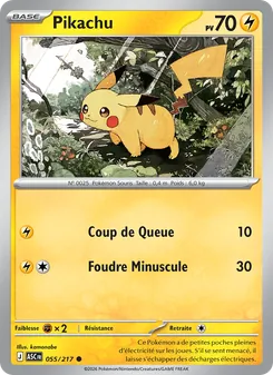 Carte Pokémon Pikachu 055