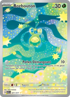 Carte Pokémon Rozbouton 221 — Héros Transcendants
