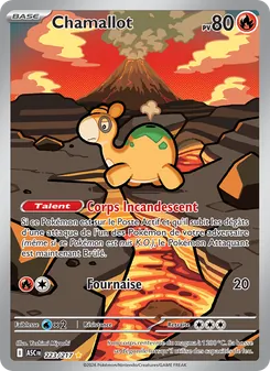 Carte Pokémon Chamallot 223 — Héros Transcendants