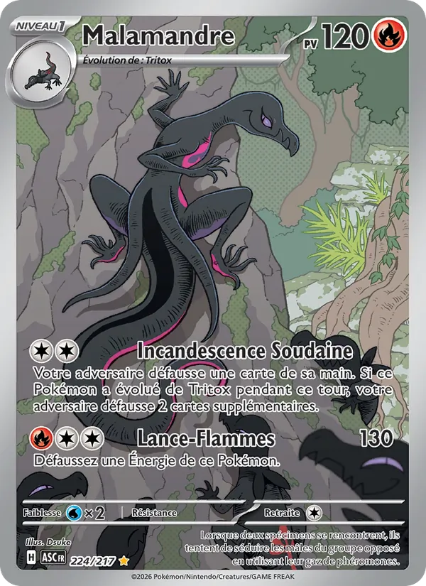 Carte Pokémon Malamandre 224/217 de l'extension Héros Transcendants